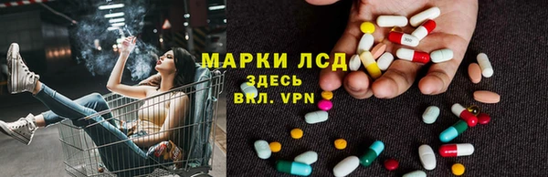 кокс Касимов